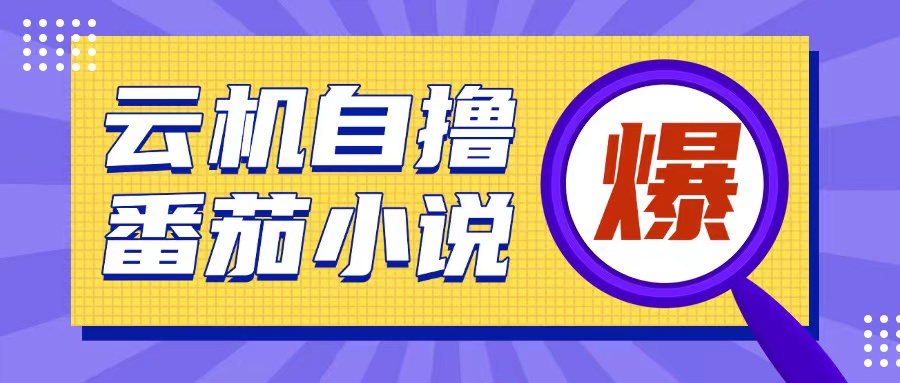 首发云手机自撸小说玩法，10块钱成本可撸200+收益操作简单【揭秘】-云推网创项目库