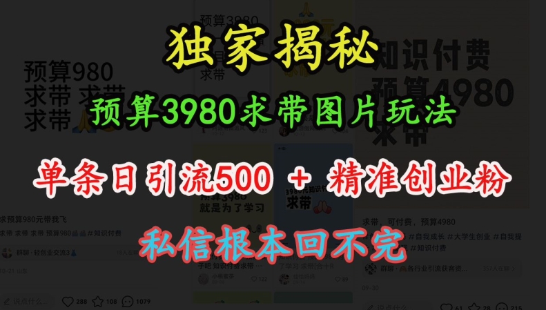 预算3980求带 图片玩法，单条日引流500+精准创业粉，私信根本回不完-云推网创项目库