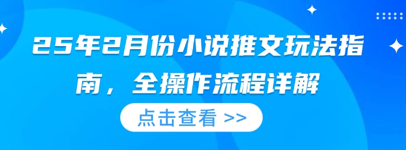 25年2月份小说推文玩法指南，全操作流程详解-云推网创项目库