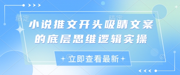 小说推文开头吸睛文案的底层思维逻辑实操-云推网创项目库