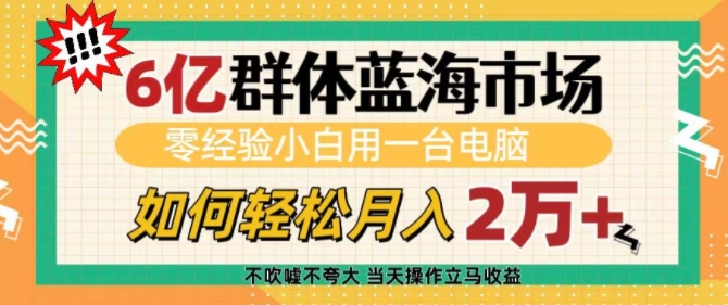 6亿群体蓝海市场，零经验小白用一台电脑，如何轻松月入过w【揭秘】-云推网创项目库