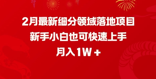 2月最新细分领域落地项目，新手小白也可快速上手，月入1W-云推网创项目库