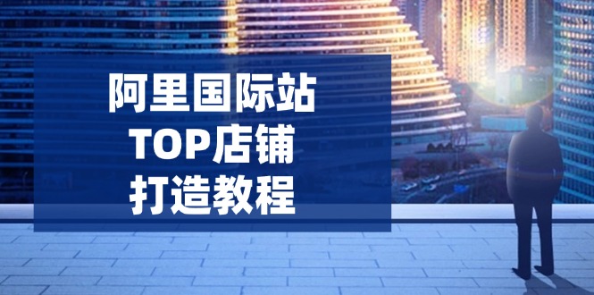 阿里国际站TOP店铺打造教程：涵盖平台到高阶，解决运营难题，提升询盘-云推网创项目库