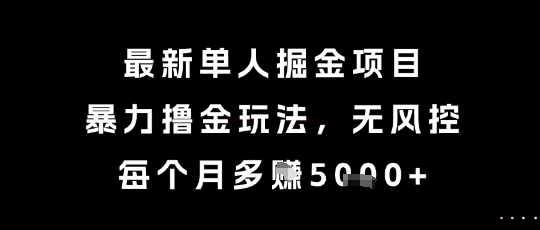 最新单人掘金项目，暴力撸金玩法，无风控，每个月多挣5k+【揭秘】-云推网创项目库