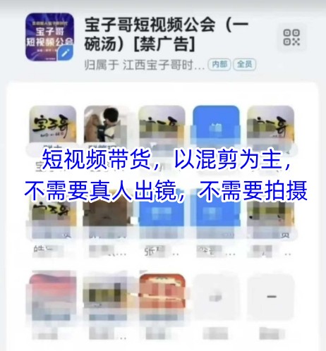 宝子哥头部团队短视频带货，以混剪为主，不需要真人出镜，不需要拍摄-云推网创项目库