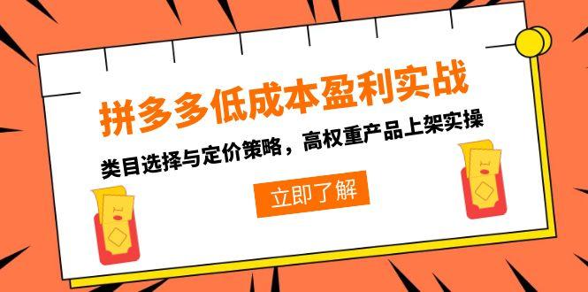 拼多多低成本盈利实战，类目选择与定价策略，高权重产品上架实操-云推网创项目库