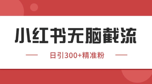 小红书只要你有同行就能获客，独家野路子获客玩法，暴力截流【揭秘】-云推网创项目库