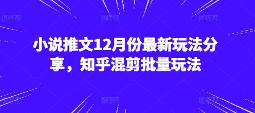 小说推文12月份最新玩法分享，知乎混剪批量玩法-云推网创项目库