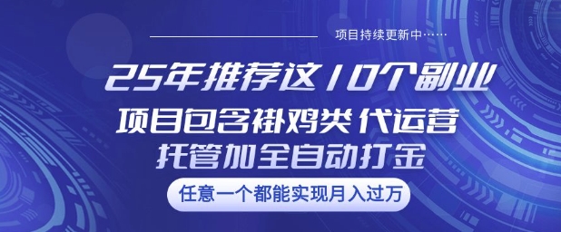 25年推荐这10个副业项目包含褂鸡类、代运营托管类、全自动打金类【揭秘】-云推网创项目库