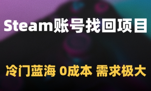 Steam账号找回项目，冷门蓝海，0成本，需求极大-云推网创项目库