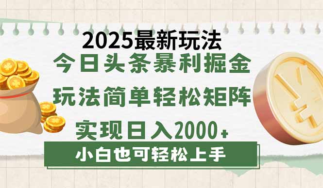 今日头条2025最新玩法，思路简单，复制粘贴，轻松实现矩阵日入2000+-云推网创项目库