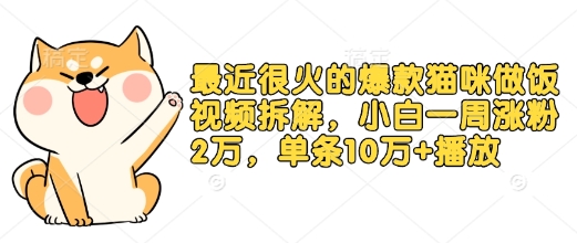 最近很火的爆款猫咪做饭视频拆解，小白一周涨粉2万，单条10万+播放(附保姆级教程)-云推网创项目库