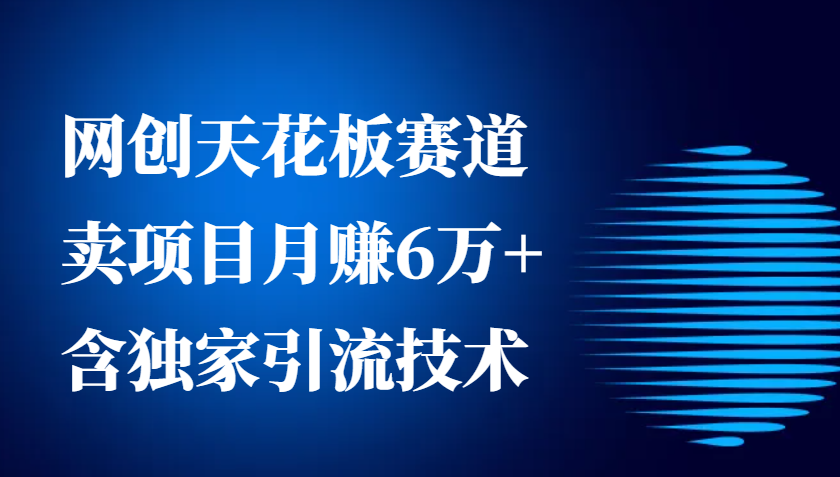 网创天花板赛道，卖项目月赚6万+，含独家引流技术(共26节课)-云推网创项目库