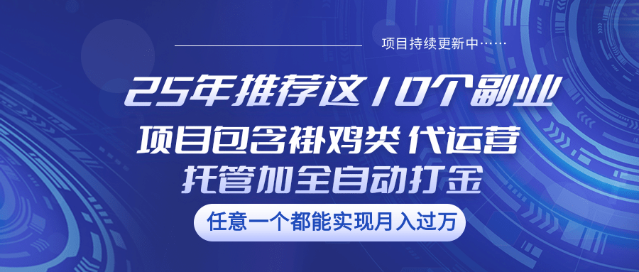 25年推荐这10个副业 项目包含褂鸡类、代运营托管类、全自动打金类-云推网创项目库