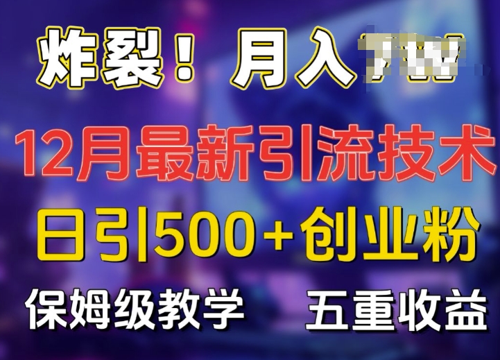 炸裂!揭秘12月最新日引流500+精准创业粉，多重收益保姆级教学-云推网创项目库