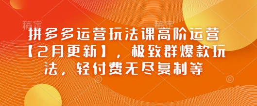 拼多多运营玩法课高阶运营【2月更新】，极致群爆款玩法，轻付费无尽复制等-云推网创项目库