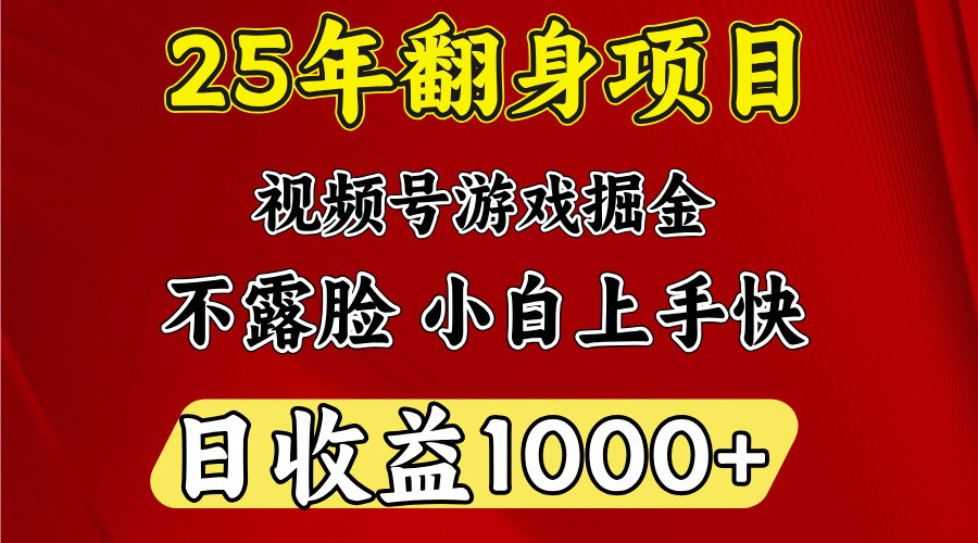 一天收益1000+ 25年开年落地好项目-云推网创项目库