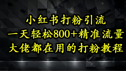 小红书打粉引流，一天轻松500+精准流量，大佬都在用的打粉教程-云推网创项目库