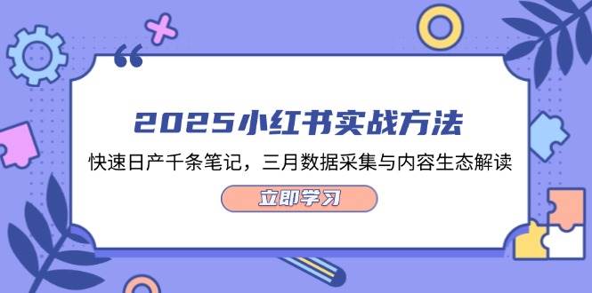 2025小红书实战方法，快速日产千条笔记，三月数据采集与内容生态解读-云推网创项目库