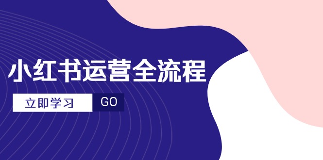小红书运营全流程，爆款选题文案，视频制作技巧，进阶达人宝典-云推网创项目库