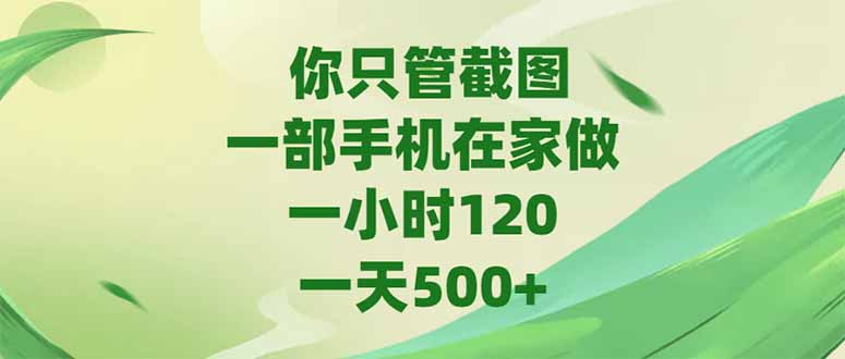 你只管截图，一部手机在家做，一小时120，-天500+-云推网创项目库