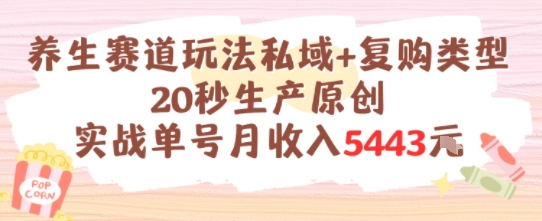 养生赛道玩法私域+复购类型，20秒生产原创实战单号月收入5k+-云推网创项目库
