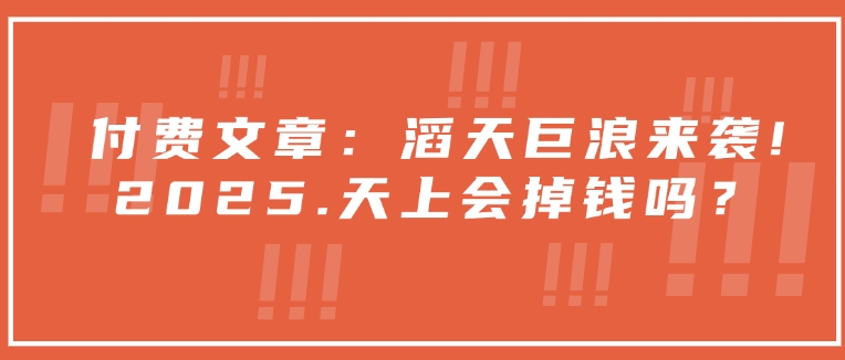 付费文章：滔天巨浪来袭！2025天上会掉钱吗？-云推网创项目库