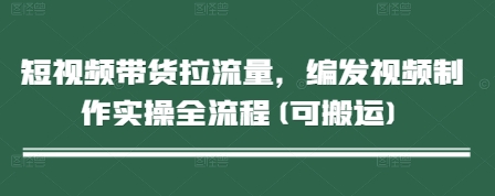 短视频带货拉流量，编发视频制作实操全流程(可搬运)-云推网创项目库