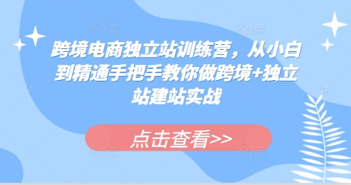 跨境电商独立站训练营，从小白到精通手把手教你做跨境+独立站建站实战-云推网创项目库