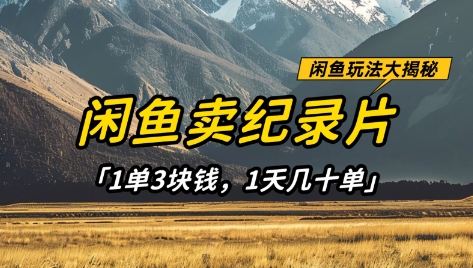 闲鱼卖纪录片1单3块钱，1天几十单，项目稳定有潜力-云推网创项目库