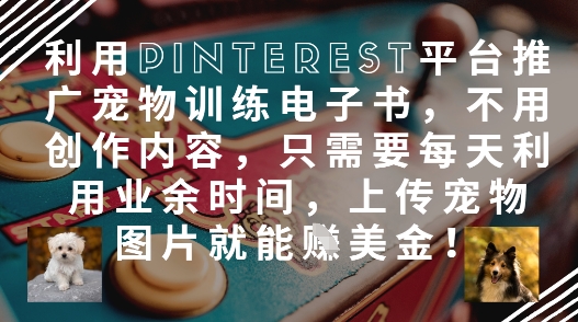 利用Pinterest平台推广宠物训练电子书，不用创作内容，只需要每天利用业余时间，上传宠物图片就能挣美金!-云推网创项目库