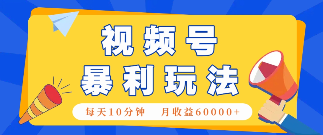 视频号AI赚钱法，每天只需10分钟，月入6万+！(超详细拆解)-云推网创项目库