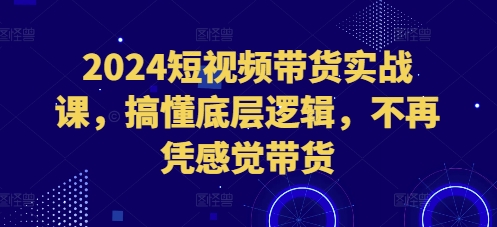 2024短视频带货实战课，搞懂底层逻辑，不再凭感觉带货-云推网创项目库