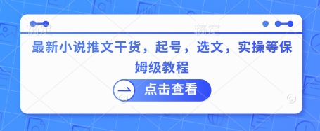 最新小说推文干货，起号，选文，实操等保姆级教程-云推网创项目库