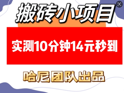 搬砖小项目，实测10分钟14元秒到，每天稳定几张(赠送必看稳定)-云推网创项目库