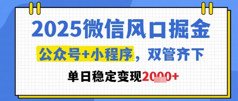 2025微信风口掘金，公众号+小程序双管齐下，单日稳定变现1k+【揭秘】-云推网创项目库