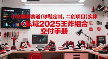小众暴利赛道(球鞋定制，二创项目)实体+私域2025王炸组合  交付手册-云推网创项目库