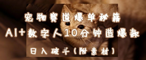 宠物赛道爆单秘籍：AI+数字人10分钟造爆款，日入1k-云推网创项目库