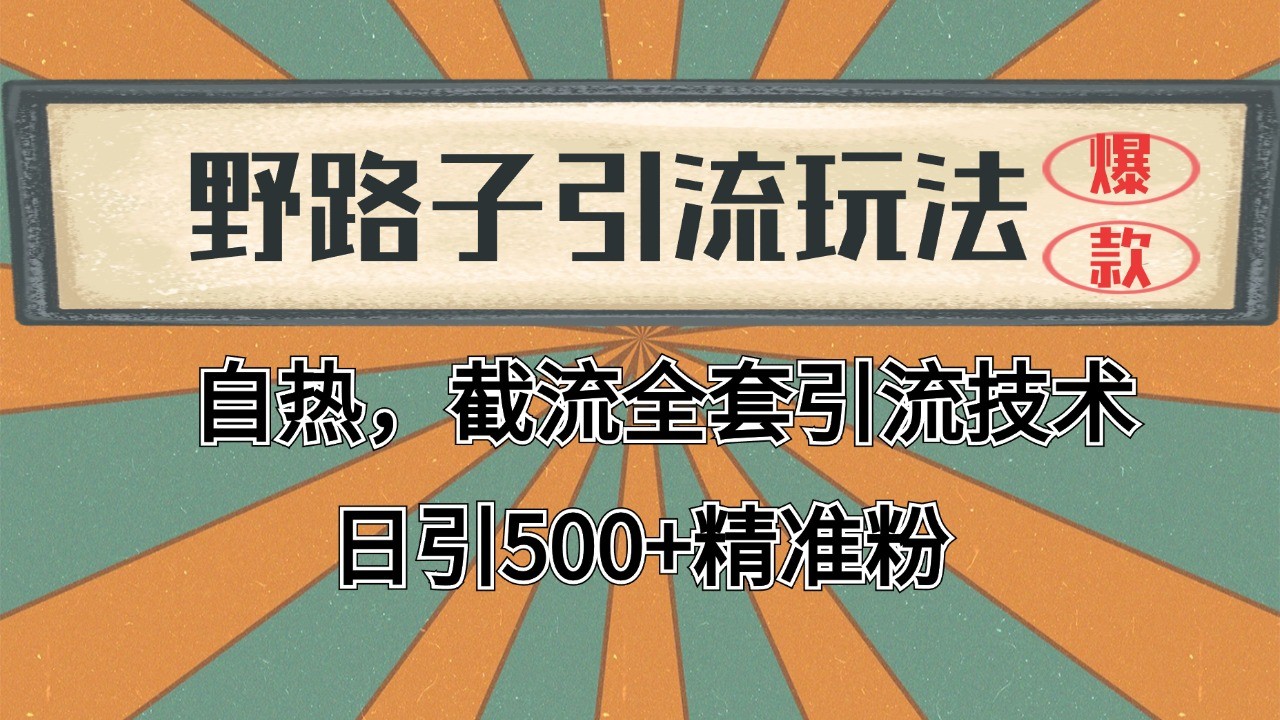 2024首发野路子引流玩法截流自热全平台打法，全自动引流【日引2000+精准客户】-云推网创项目库