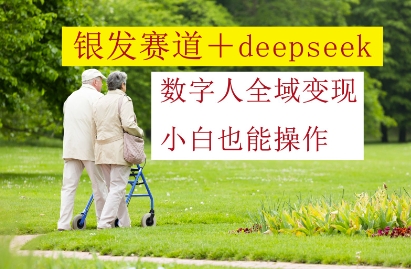 银发赛道+deepseek数字人全域变现，小白也能操作-云推网创项目库