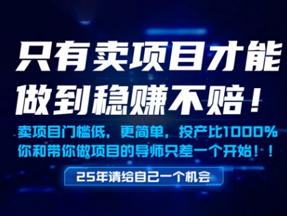 只有卖项目才能做到稳挣不赔，门槛低，更简单，你也可以年入百个W【揭秘】-云推网创项目库