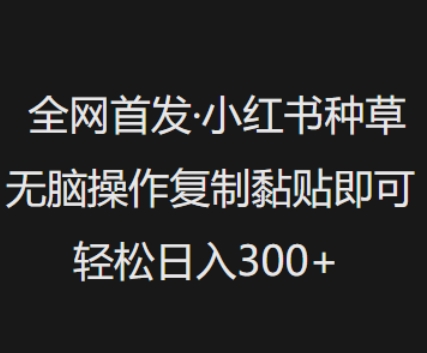 全网首发，小红书种草无脑操作，复制黏贴即可，轻松日入3张-云推网创项目库