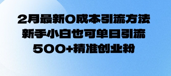 2月最新0成本引流方法，新手小白也可单日引流500+精准创业粉-云推网创项目库
