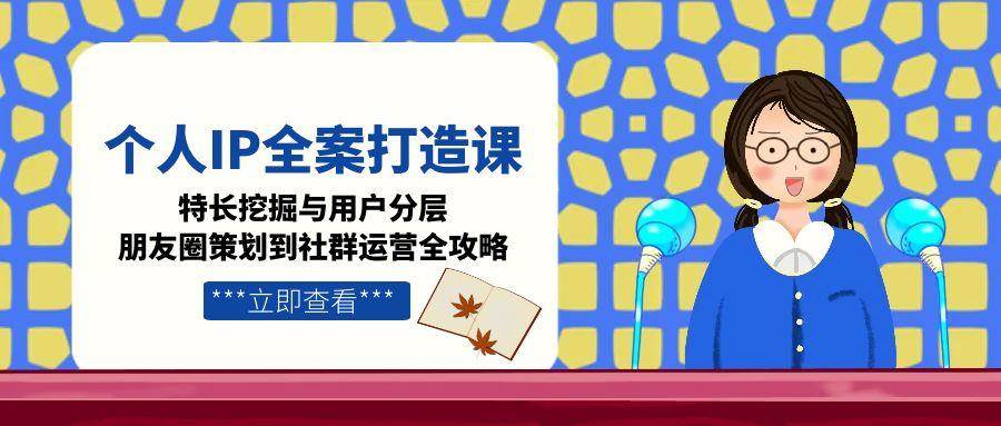个人IP全案打造课，特长挖掘与用户分层，朋友圈策划到社群运营全攻略-云推网创项目库
