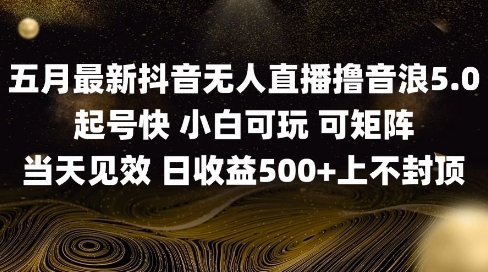 2025五月最新无人直播撸音浪单日产出5张+实操教程【揭秘】-云推网创项目库