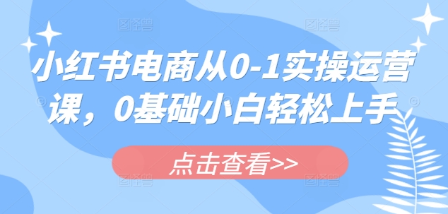 小红书电商从0-1实操运营课，0基础小白轻松上手-云推网创项目库