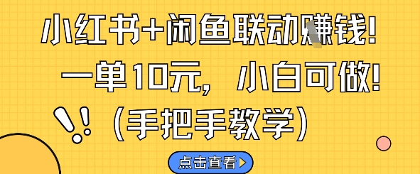小红书+闲鱼联动挣钱，一单10元，小白可做-云推网创项目库