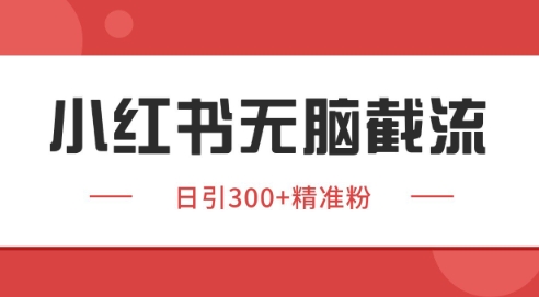 小红书截流同行客源，独家野路子获客玩法 日引200+暴力获客【揭秘】-云推网创项目库