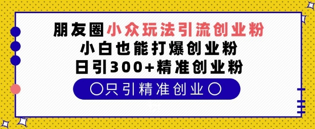 朋友圈小众玩法引流创业粉，小白也能打爆创业粉，日引300+精准创业粉【揭秘】-云推网创项目库