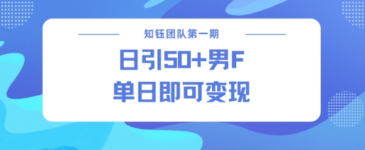 男粉引流新方法不违规，当日即可变现-云推网创项目库